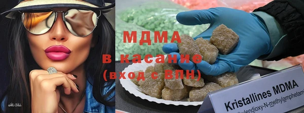 молекула духа Богданович