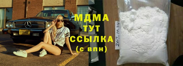 молекула духа Богданович