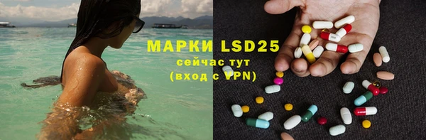 молекула духа Богданович