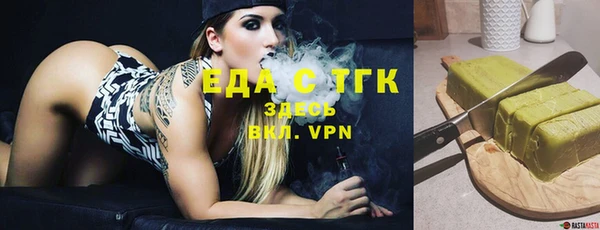 спиды Богородицк