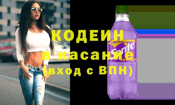 молекула духа Богданович
