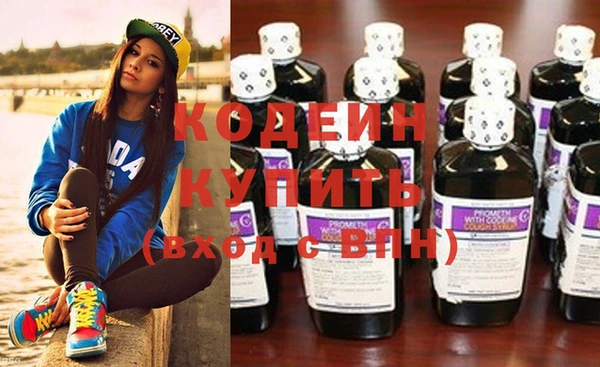 молекула духа Богданович