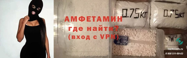 молекула духа Богданович