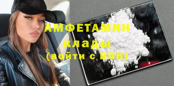 спиды Богородицк