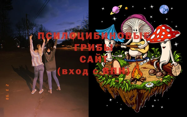 спиды Богородицк