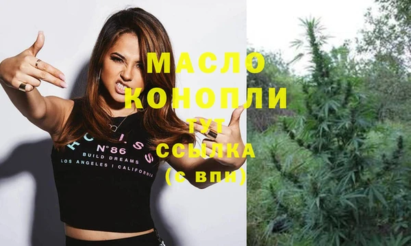 спиды Богородицк