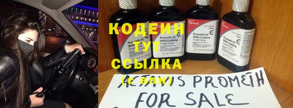 молекула духа Богданович