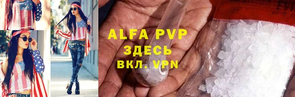 молекула духа Богданович